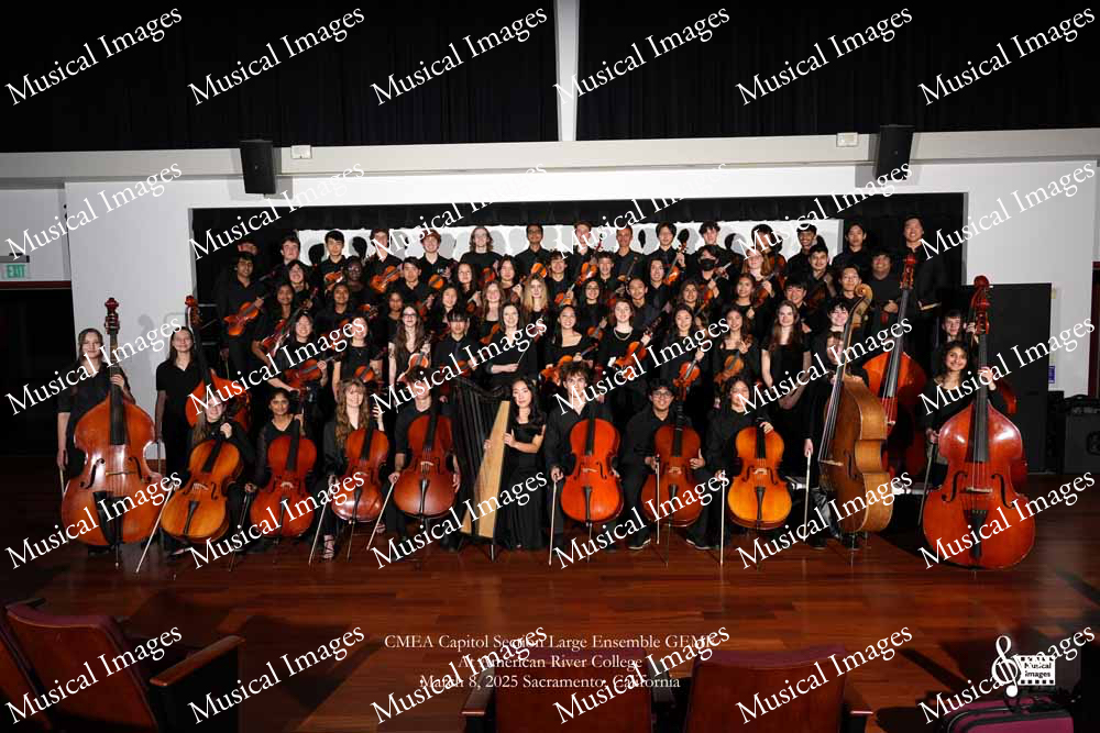 Musical Images
